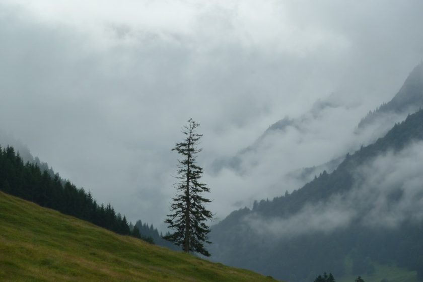 Titelbild zu Regenwetter-Ausflugsziele im Allgäu - Baum hinter der Erdinger Arena mit tief hängenden Regenwolken
