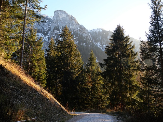 Abstieg von der Rohrkopfhütte zur Talstation der Tegelbergbahn
