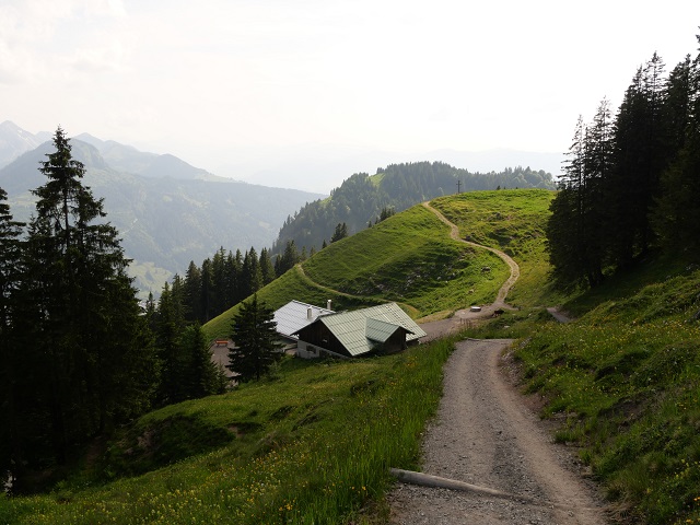 Auf dem Weg vom Spieser-Gipfel zur Hirschalpe bei Oberjoch