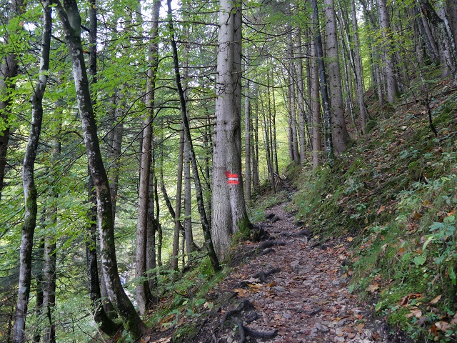 Aufstieg an der Reichenbachklamm