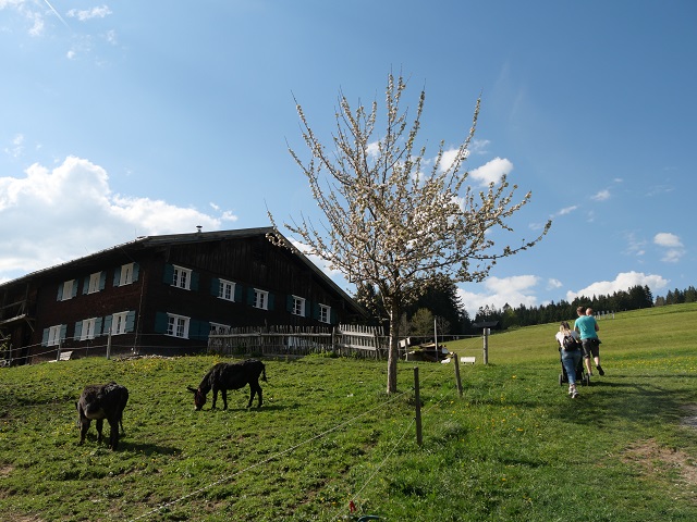 Aufstieg zum Sattlerhof im Bergbauernmuseum