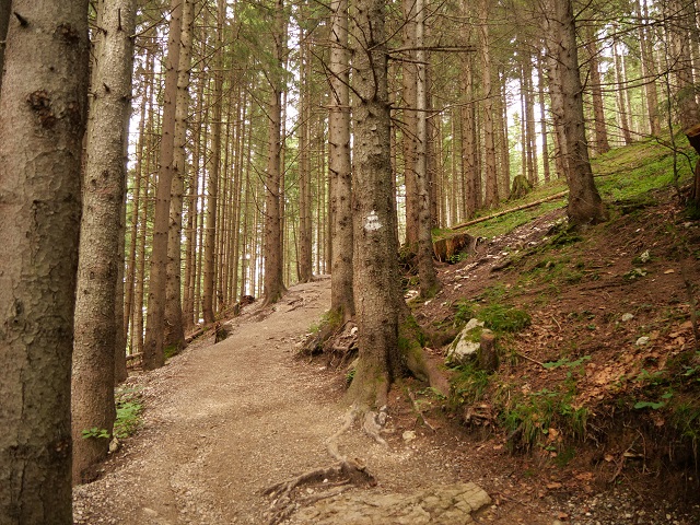 Aufstieg zur Rohrkopfhütte am Tegelberg