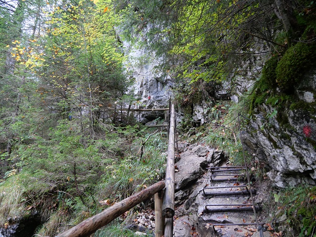 Ausstieg aus der Reichenbachklamm am Breitenberg