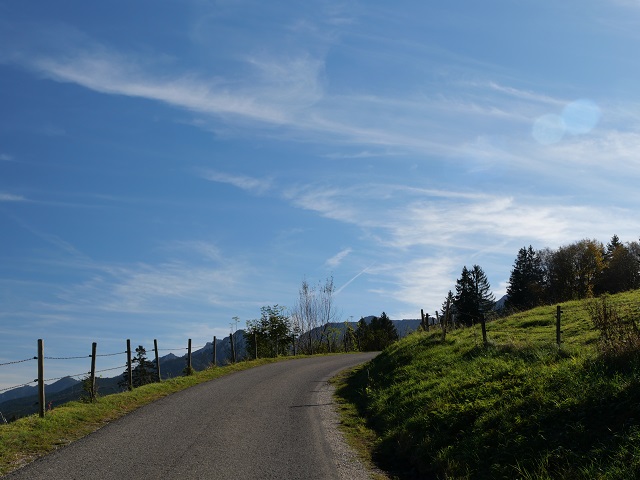 Bergstraße auf den Buchenberg