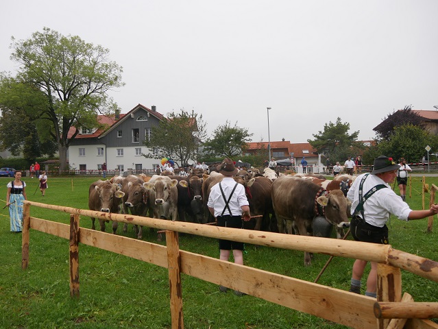 Entspannung am Sammelplatz