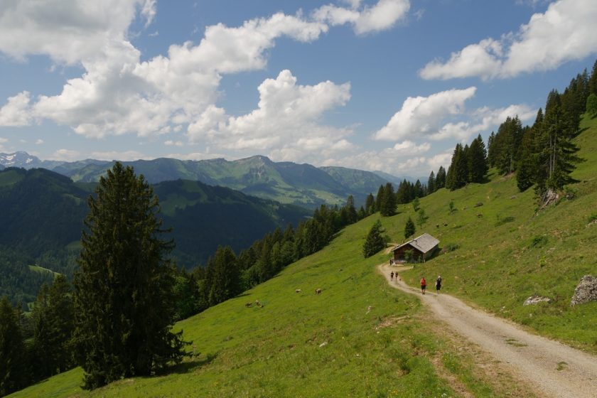 Mit grandiosem Panoarama oberhalb von Balderschwang wandern