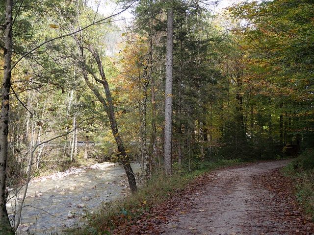 Wanderweg an der Steinacher Achen bei Pfronten