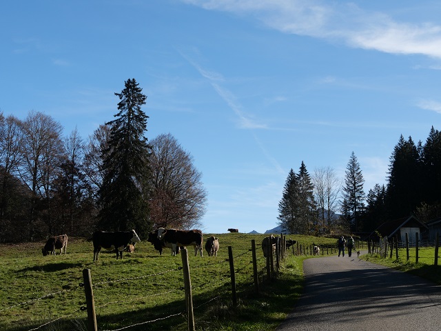 Wanderweg auf den Buchenberg