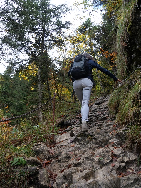 Wanderweg oberhalb der Reichenbachklamm am Breitenberg