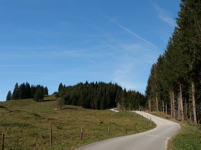 Wanderweg zur Buchenbergalm