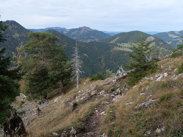 auf dem Breitenberg-Gratweg