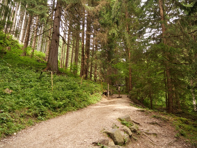 auf dem Schutzengelweg am Tegelberg