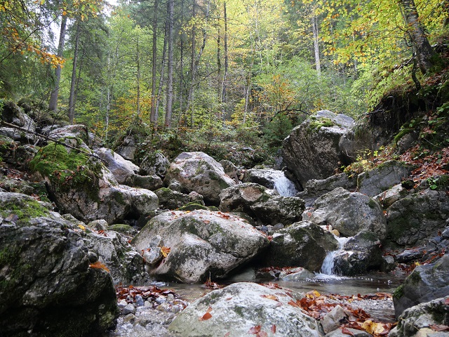 in der Reichenbachklamm